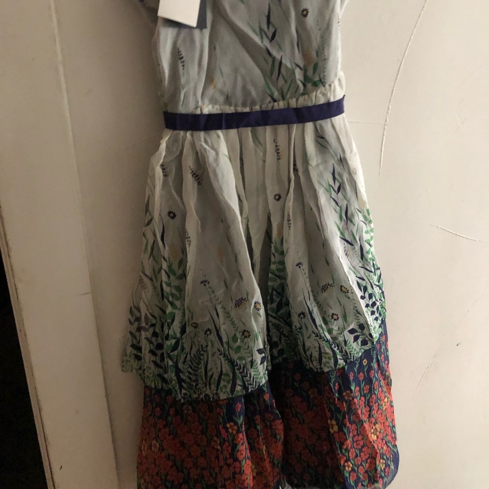 Anna Sui Anthropology